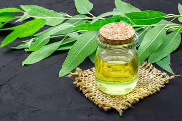 The Best Natural Mosquito Repellent? Here's the Winner